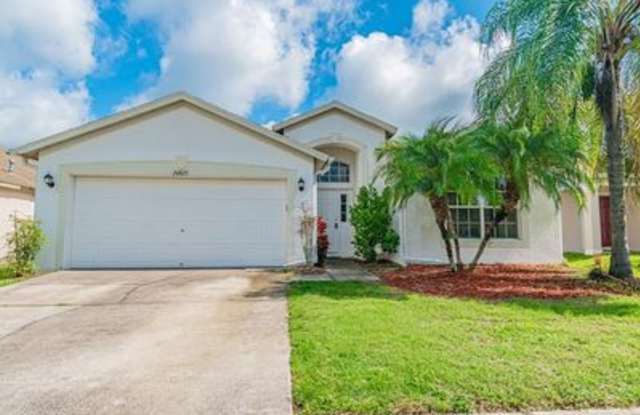 24825 Portofino Drive - 24825 Portofino Drive, Land O' Lakes, FL 33559