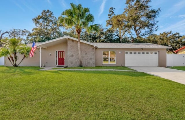 704 Childers Loop - 704 Childers Loop, Brandon, FL 33511