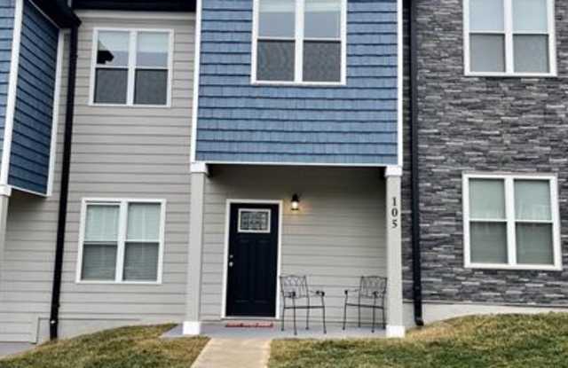 105 Emanuel Court - 1