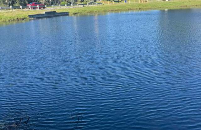 185 Shores Boulevard