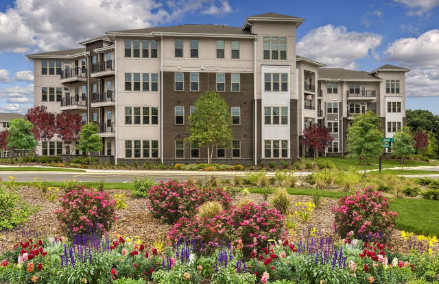 Photo of Sycamore at Christenbury