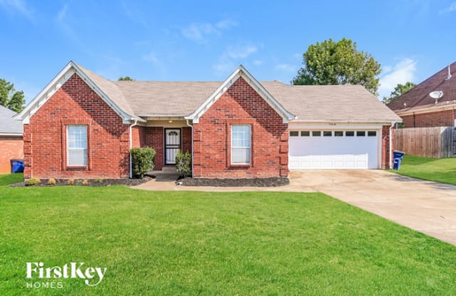 10046 Meadow Lane - 10046 Meadow Lane, Olive Branch, MS 38654