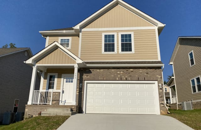 193 Ridge Pointe Dr. - 193 Ridge Pointe Drive, Johnson City, TN 37604