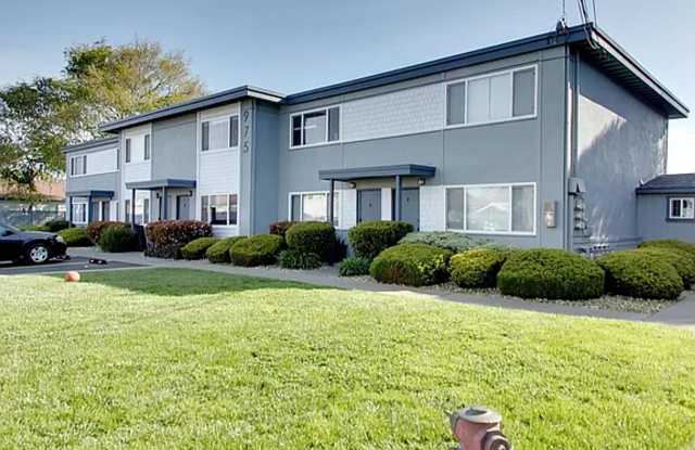 Photo of ELGIN STREET APARTMENTS