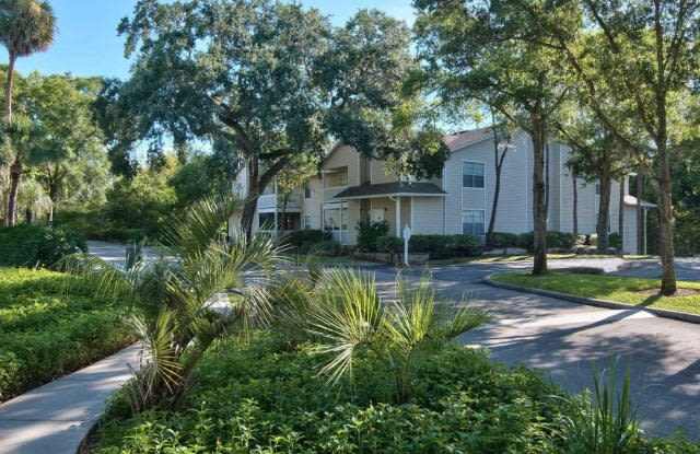 Tampa Woods