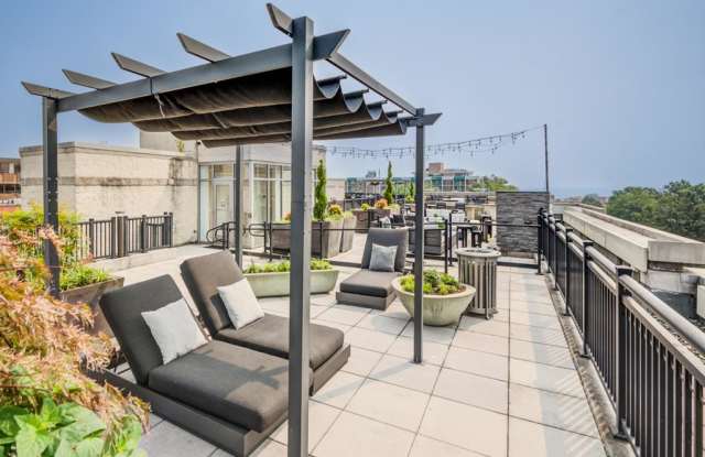 Photo of Siena Park