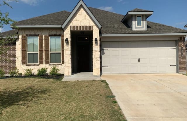 3228 Samson Dr - 3228 Samson Drive, McLennan County, TX 76655