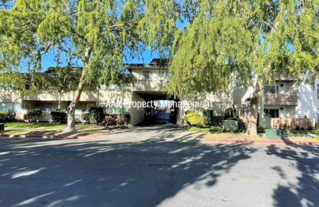Concord Beautiful remodeled 1 bedroom 1 bath condo! Central location