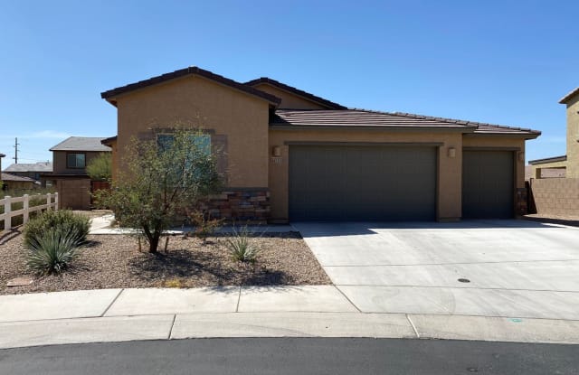 12115 N Candywine - 12115 N Candywine Dr, Marana, AZ 85653