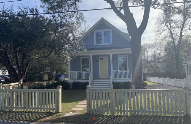 1127 5th Avenue - 1127 5th Avenue, Charleston, SC 29407