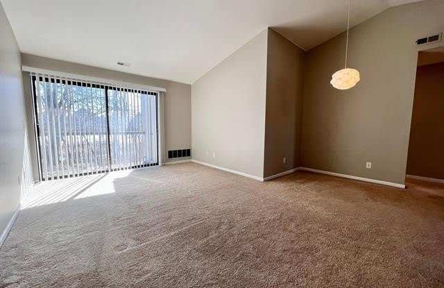 42601 LILLEY POINTE Drive