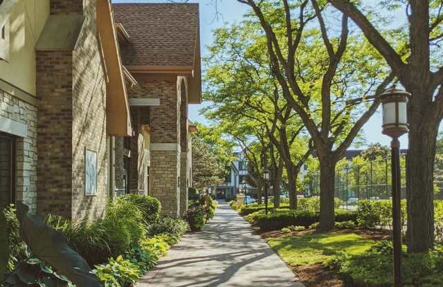 International Village
