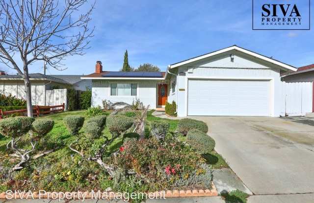 1455 Mt Shasta Ave - 1455 Mount Shasta Avenue, Milpitas, CA 95035