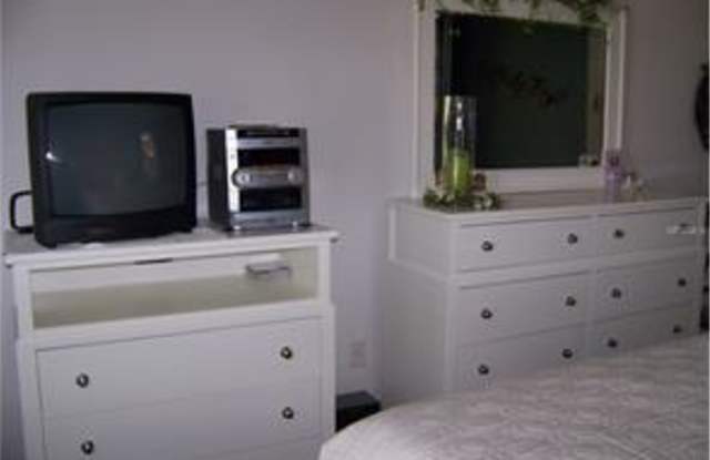 Furnished 2 Bedroom/2 Bathroom Condo