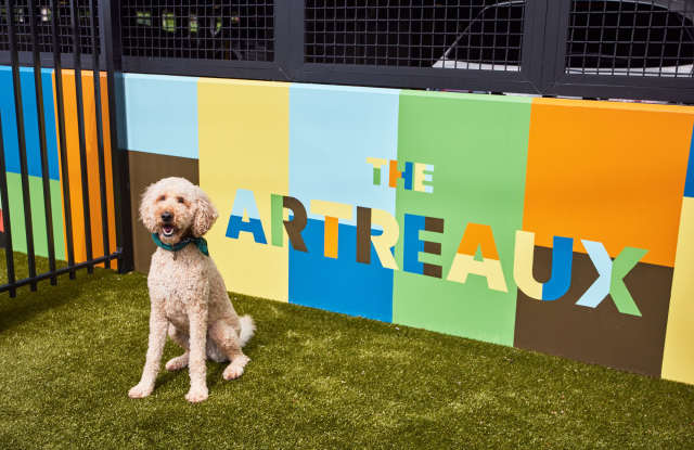 The Artreaux Apartments and Townhomes