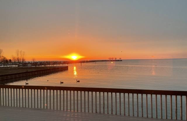 23459 Liberty Street