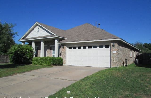 308 DAYNA CV - 308 Dayna Cove, Williamson County, TX 78641