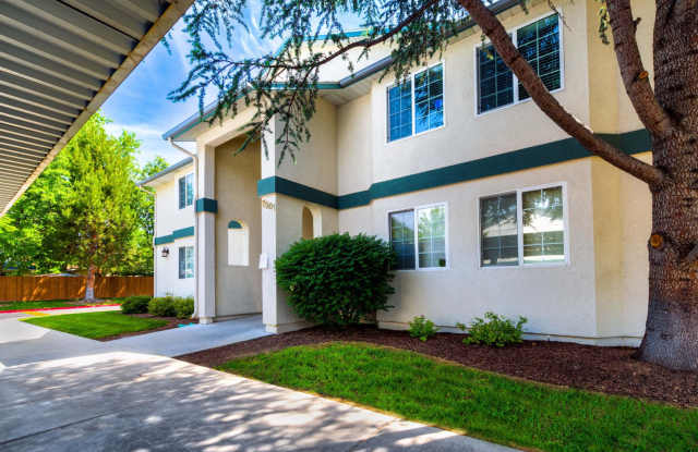 ’Tis the Season for Savings! Get 1 Month FREE at The Pines Apartments