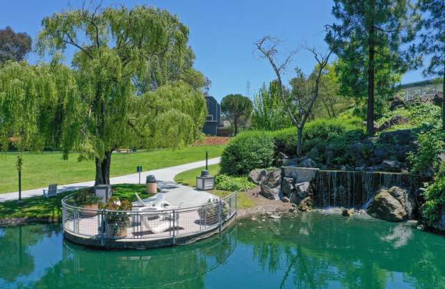 Serenity at Larkspur