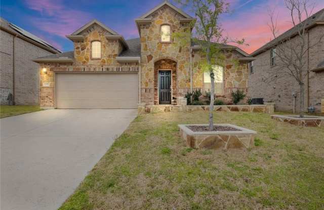 2371 Canary Grass