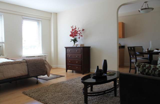 Photo of The Delano