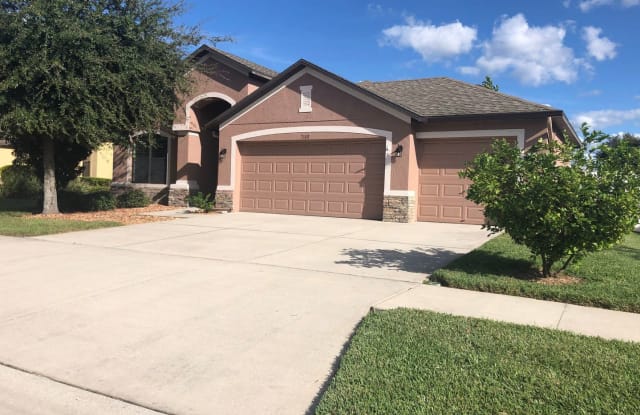 7108 Spindle Tree Ln - 7108 Spindle Tree Lane, Progress Village, FL 33578