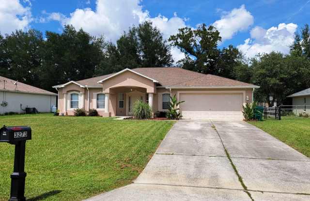 Large Citrus Springs 4/2/2