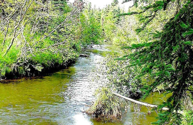 Deluxe One Bedroom in South Anchorage on the Creek