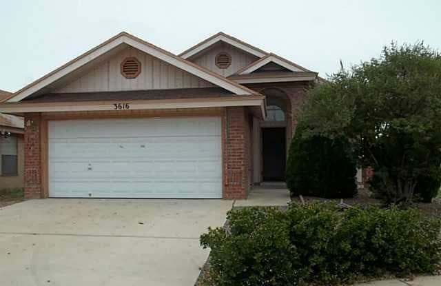 3616 DOMINICAN Street - 3616 Dominican Street, El Paso, TX 79936