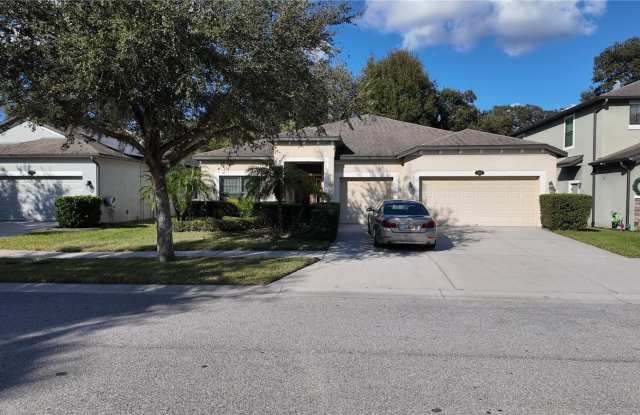 209 DAKOTA HILL DRIVE