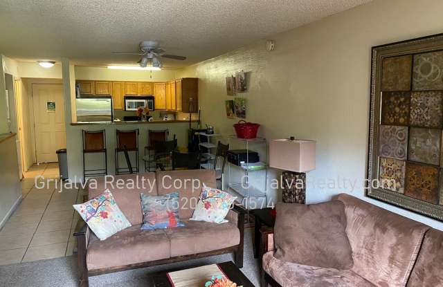 Furnished 2 Bedroom Condo with Community Pool Close to the UofA! (Speedway/Euclid)
