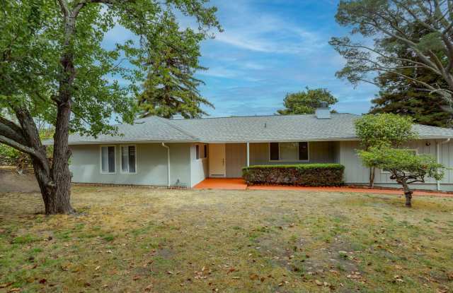 3 Bed / 3 Bath + Bonus room pet friendly Millbrae home with pool on a 1/2 acre lot. YouTube tour!!