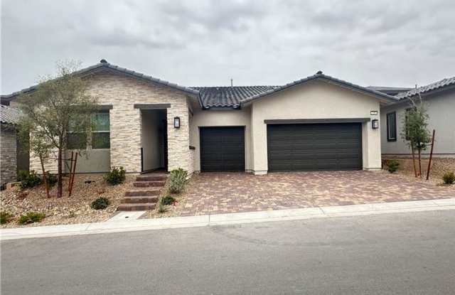 BRAND NEW SINGLE STORY HOME IN LAKE LAS VEGAS FOR RENT!