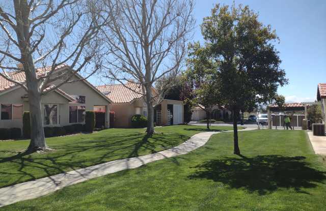 11541 Park Ln