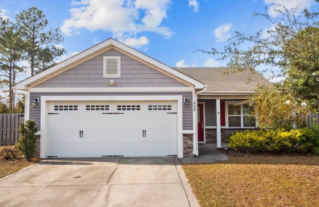 420 Blue Pennant Court - 420 Blue Pennant Court, Onslow County, NC 28445