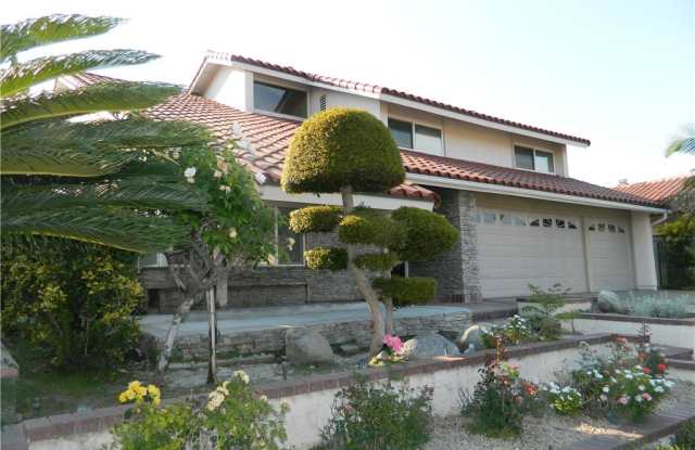 25691 Morales