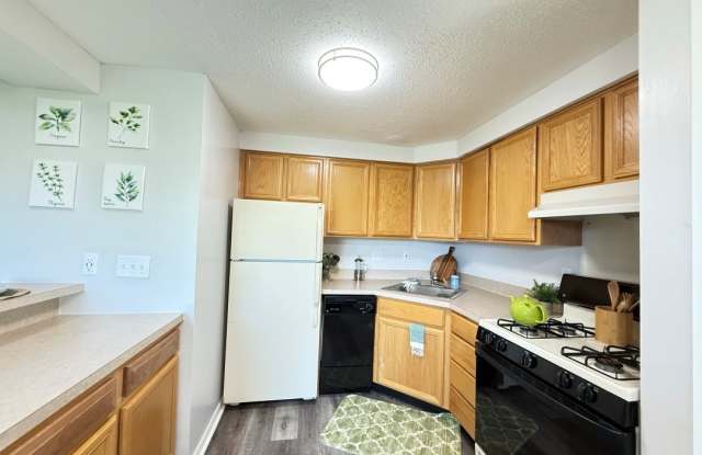 Ashmore Trace Apartments of Greenwood