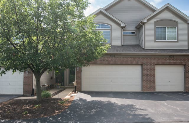 1037 Woodview Court - 1037 Woodview Court, Aurora, IL 60502