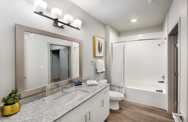 Maitland City Centre