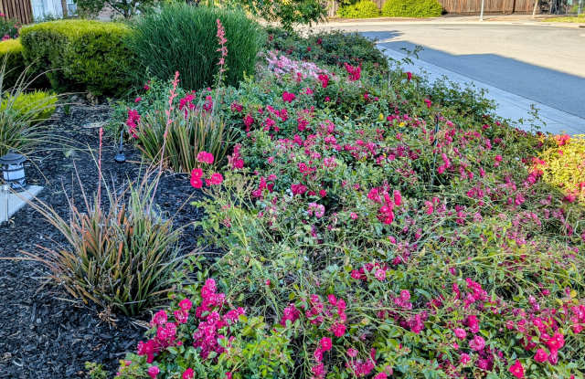 655 San Marino Court