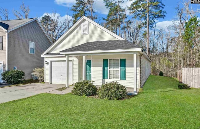 237 Arbor Falls Drive - 237 Arbor Falls Drive, Richland County, SC 29229