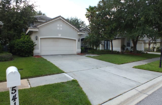 5412 Avenal Dr - 5412 Avenal Drive, Cheval, FL 33558