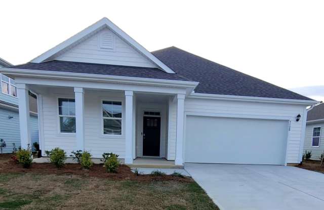 Photo of Brand new construction home in the desirable Brunswick Forest subdivision