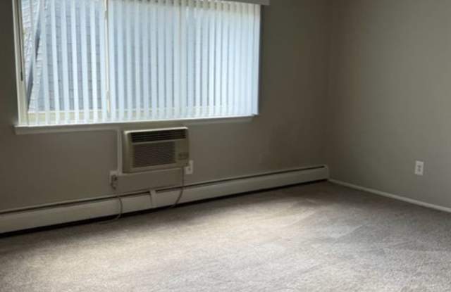 Charming 1 bedroom/1 bath near Downtown Rochester!