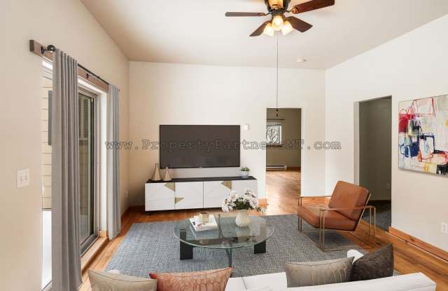 Historic 5 Bedroom Home in Belgrade