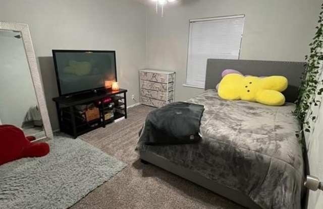 9315 Green Forest Road