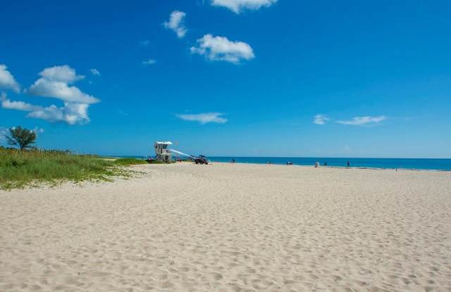 919 Ocean Place