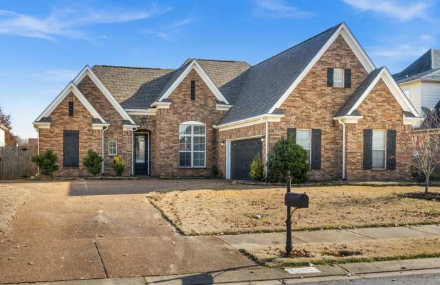 Completely Renovated 4bd/2ba in Olive Branch