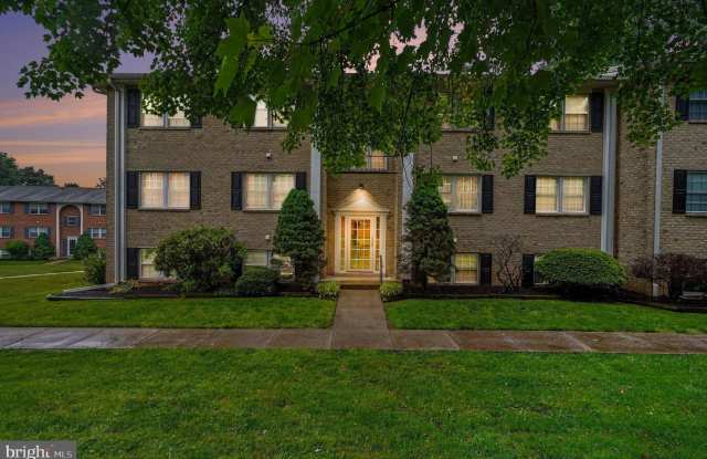 208-B TIMBER Trail