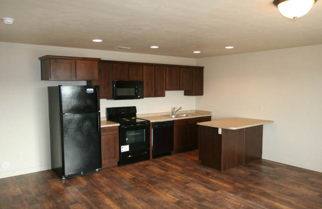 Beautiful 3 Bed 2 Bath townhome in Vineyard for rent